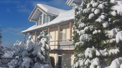 a house covered in snow next to a tree at Ferienhaus Kirsch in Missen-Wilhams