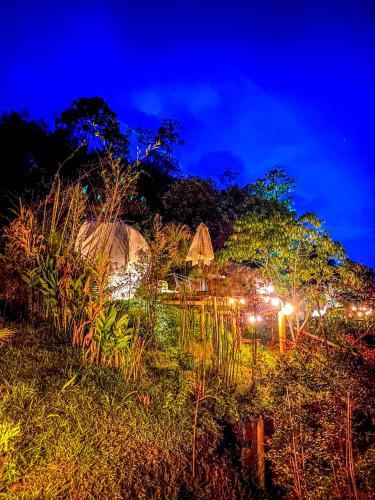 a night view of a forest with tents and lights at Levit Glamping - Hotel Guatapé Peñol in Guatapé