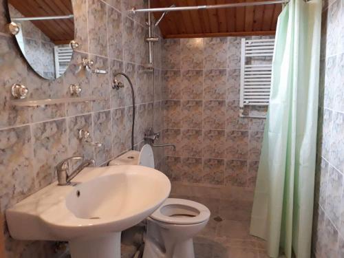 a bathroom with a sink and a toilet and a mirror at Safari House Tbilisi Wine & Family Hotel in Tbilisi City