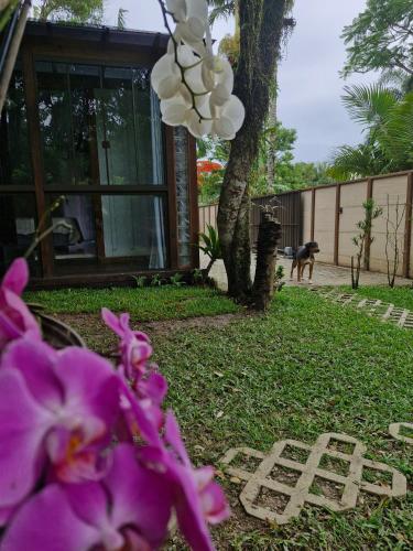 Taman di luar Pousada Encantos do Estaleiro