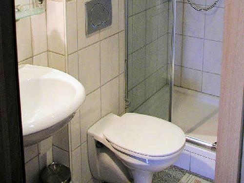 ホルンベルクにあるSchanzenberghofのバスルーム(トイレ、洗面台、シャワー付)