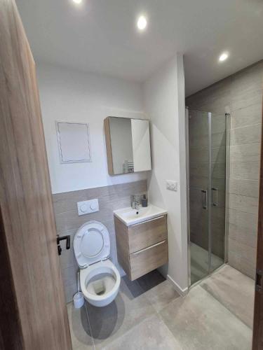 une salle de bain avec toilettes, lavabo et douche dans l'établissement Appartement à thermal, à Nancy