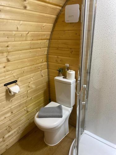 a bathroom with a toilet with a wooden wall at Crabmill glamping bewdley in Bewdley