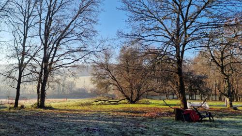 a park with a bench and trees in a field at La Forestine in Bergerac