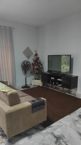 a living room with a couch and a christmas tree at Excelente Casa de campo perto de BH in Capim Branco