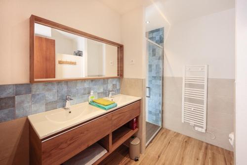 une salle de bain avec un lavabo et une douche dans l'établissement Carline, à Morillon