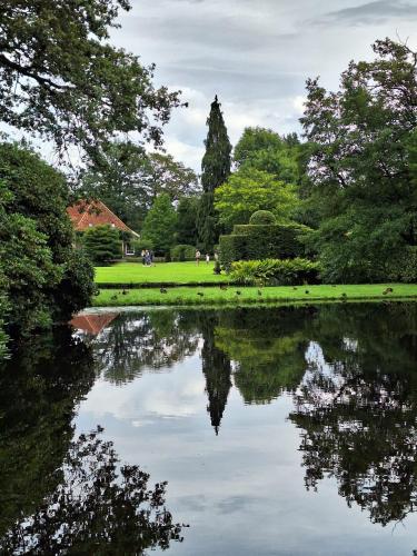 a view of a pond in a park with trees at Stacaravan Diepenheim in Diepenheim