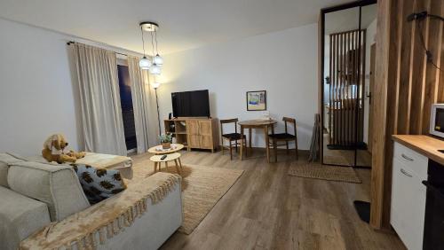 a living room with a couch and a table at Apartamenty Paderewski II in Bielawa