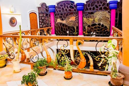 a group of potted plants sitting on a balcony at Villa Gaudi (Gaoudi) in Akassato