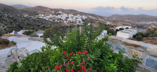 a garden with red flowers on a stone wall at Pantiki Luxury Suite Naxos in Mélanes