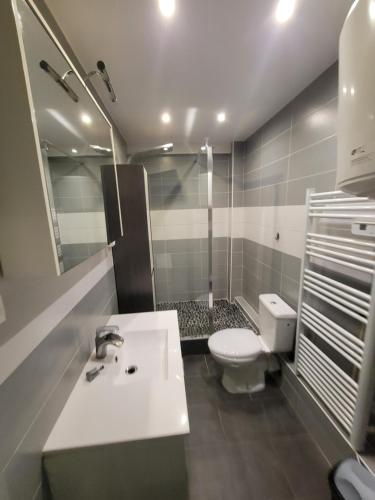 une salle de bain avec un lavabo blanc et des toilettes dans l'établissement bel appart, à Imphy