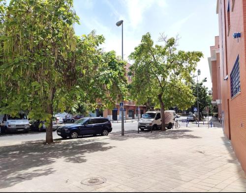 Estudio Alamillo 1
