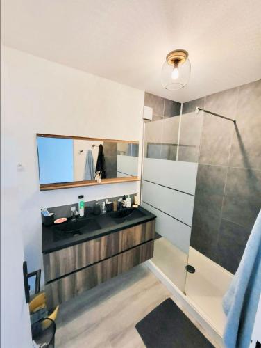 une salle de bain avec un lavabo et une douche dans l'établissement Chambre PRIVÉE dans Appartement PARTAGÉ - Résidence Palmer - Balcon - Tram A - REF P8, à Cenon