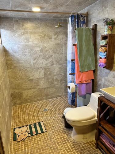 a bathroom with a toilet and a sink at Mariposas in Chignahuapan