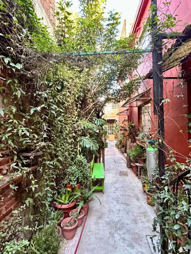 an alley with potted plants and a green chair at Mariposas in Chignahuapan