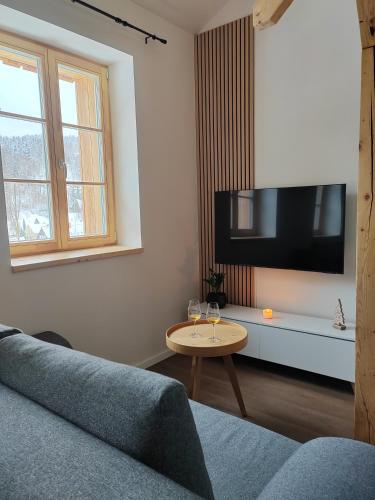 TV a/nebo společenská místnost v ubytování Apartmán Na Běžkách
