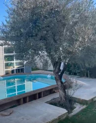 un arbre en face d'une piscine dans l'établissement Villa Soleil et Sérénité, à Vénéjan