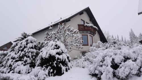 une maison avec des arbres enneigés devant elle dans l'établissement Ferienwohnnung Ruth - Familienurlaub im Erzgebirge, à Langenbach