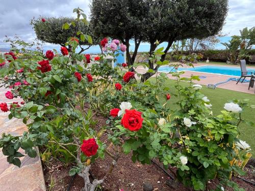 Πισίνα στο ή κοντά στο Finca Los Tomillos