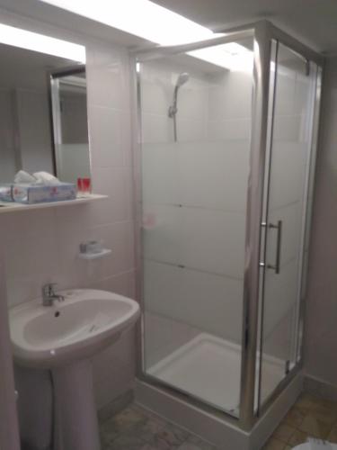 a bathroom with a shower and a sink at Pensiunea Helvetia in Bucharest