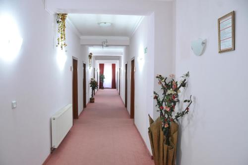a corridor of a building with white walls and a pink carpet at Vila Oxa in Novi Pazar