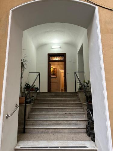 Roma center home