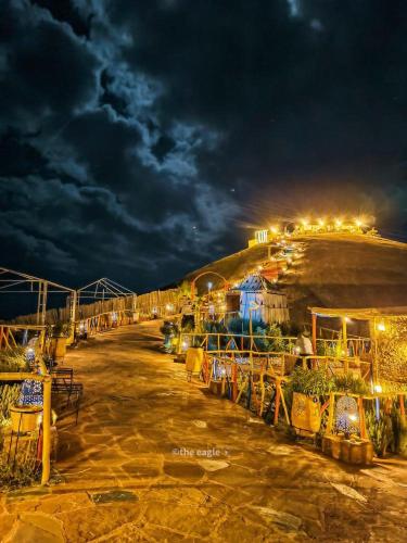a group of plants on a hill at night at La Dune Agafay Desert Camp in Marrakech