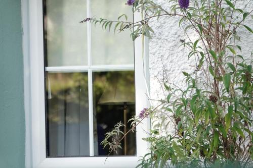 a window of a house with purple flowers at Clover Cottage in Sligo