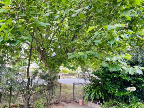 a gate in a park with trees and a street at Red Steps - 4 bedroom home in Narrandera