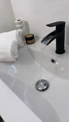 un lavabo de salle de bain avec de l'eau qui coule d'un robinet dans l'établissement Residence Villa rose T3 parking privé, à Toulouse