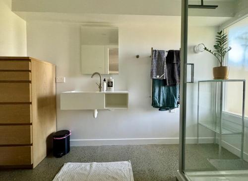 a bathroom with a sink and a mirror and a shower at Studio on Hobson in Auckland