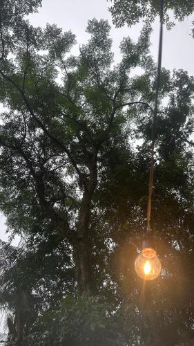 Landskap semula jadi dekat dengan rumah percutian