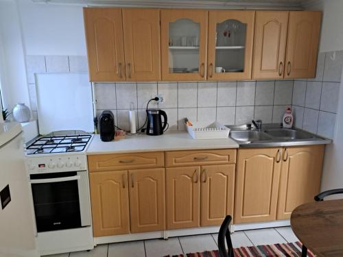a kitchen with wooden cabinets and a sink at Nagymackó Kuckója in Keszthely