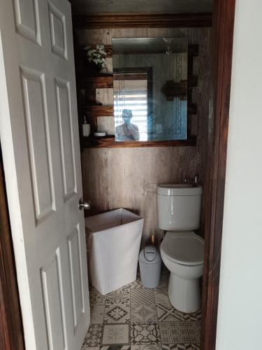 a bathroom with a toilet and a mirror at casa rural el saltillo in Pemuco