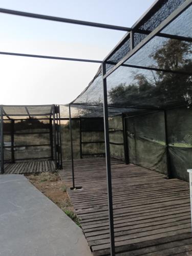 acovered deck with awning and a wooden boardwalk at casa rural el saltillo in Pemuco