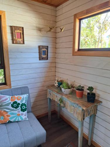 une chambre avec une table avec des plantes en pot dans l'établissement Pewma Küyen, à Quellón