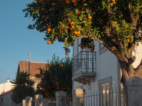 an orange tree in front of a white building at Casa do Poço - Serra da Estrela in Seia