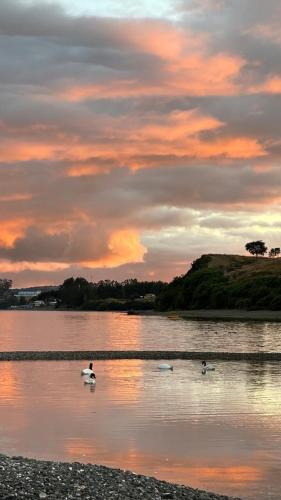 a group of ducks swimming in a lake at sunset at Refugio con Vista al Mar y Paz in Vilupulli