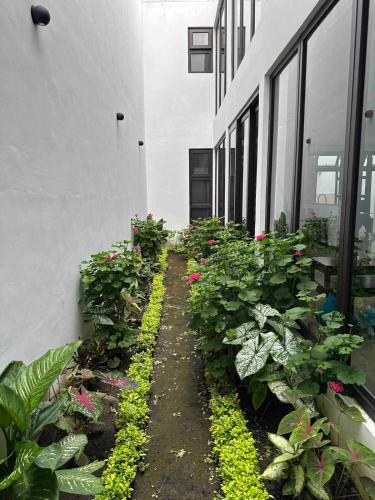 Un jardín fuera de Casa Martín