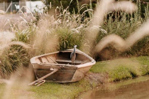 a bird sitting in a boat in the grass at The Homestead in Berry