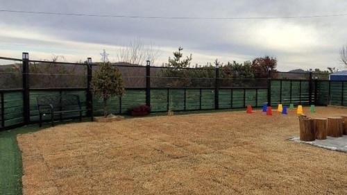a playground with a fence and colorful cones at Yeoncheon Pension Nolmung dogs allowed in Yeoncheon