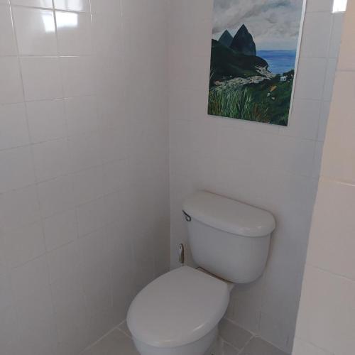 a bathroom with a toilet with a picture on the wall at Selens Apartment in Ti Rocher Micoud Saint Lucia in La Cour Ville