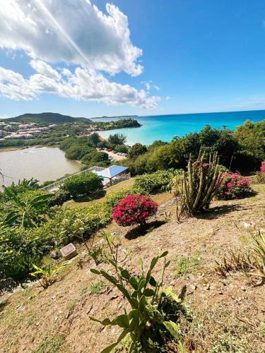 a view of the ocean from a hill with flowers at Sunset View in Friar's Bay
