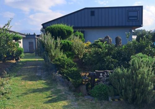 Κήπος έξω από το Aewoldre Pension