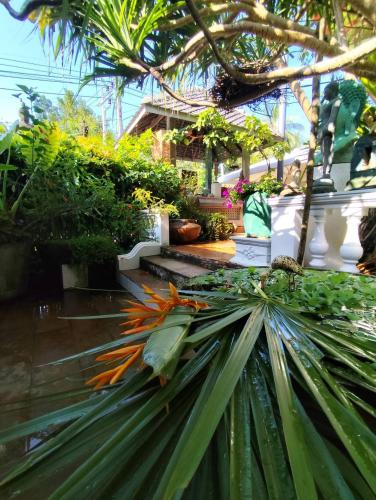 a plant in front of a house with plants at O - HO Boutique Home in Baan Tai