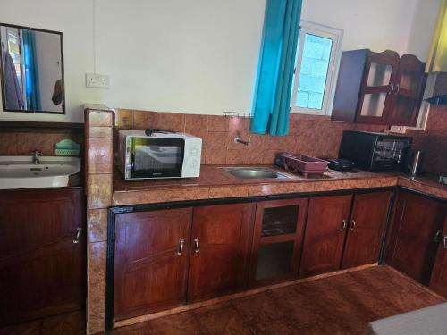 a kitchen with a sink and a microwave at Grand Baie Appartment Villa ii Cocotier in Grand Baie