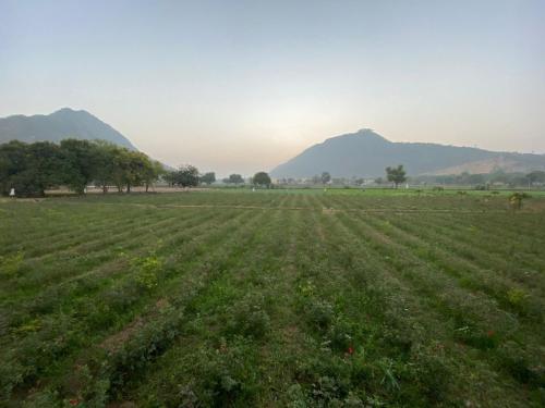 Paisaje cerca de este hotel