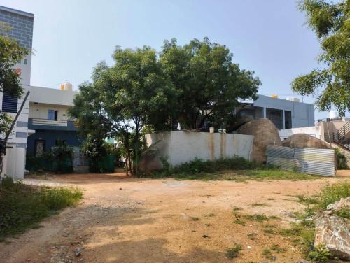 a dirt road with a tree and a building at Prithvi Homestay Hampi in Hampi