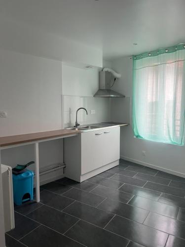 une cuisine avec un évier et un plan de travail dans l'établissement Victor Hugo, à Avesnes-sur-Helpe