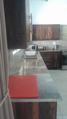 a kitchen with a counter with a red object on it at Palm Afrique Lodge in Ghanzi